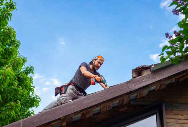 Best Roof Insulation Installation  in Greenville, SC
